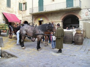 cavallo piazza film    